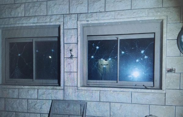 רימוני רסס וסחיטה באיומים: כך הסתיימה עסקה חקלאית תמימה