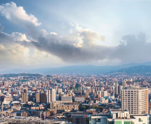 פאניקה בלבנון: המהלך הדרמטי שיצא הבוקר לפועל