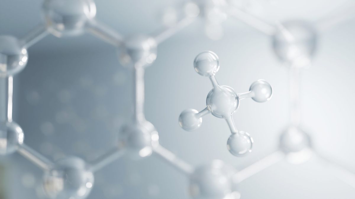 קטונים: מה זה בעצם ולמה חשוב לנטר אותם?