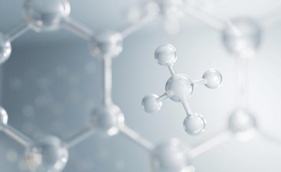 קטונים: מה זה בעצם ולמה חשוב לנטר אותם?