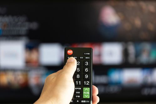 כאן 11 פורח; ערוץ 14 מינה מחליפה וניצח