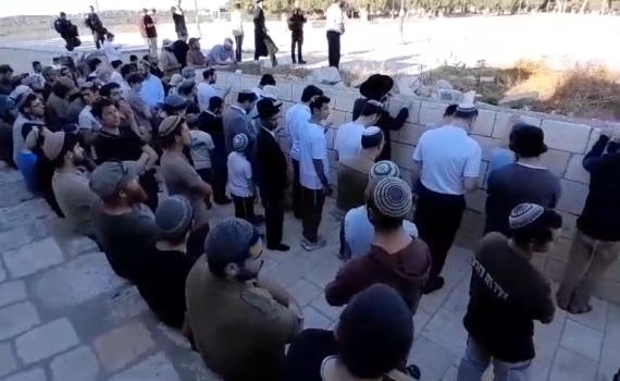 בוקרו של תשעה באב: כ-1,000 יהודים עלו להר הבית