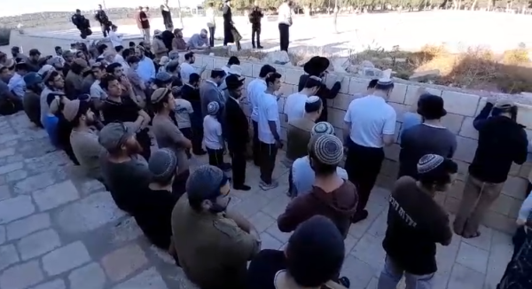 בוקרו של תשעה באב: כ-1,000 יהודים עלו להר הבית