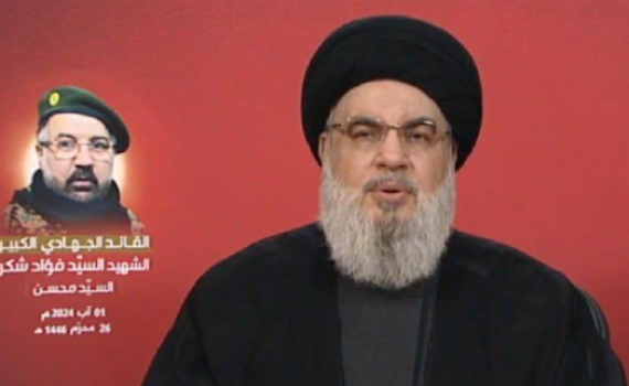 הפריט בנאום נסראללה שמדאיג את ישראל