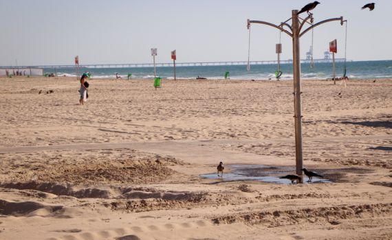 אסון בחוף באשקלון: גבר בן 46 טבע למוות