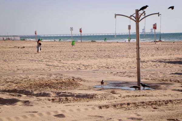 אסון בחוף באשקלון: גבר בן 46 טבע למוות