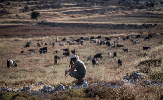הרס בגבעה בגוש שילה: הפועלים הערביים צעקו אללה אכבר