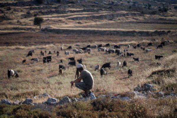 הרס בגבעה בגוש שילה: הפועלים הערביים צעקו אללה אכבר