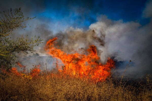 חיזבאללה מנסה לאותת עסקים כרגיל: "נמשיך בפעולות היומיות"