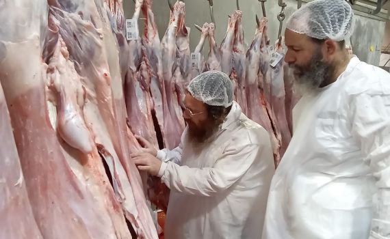 בדיקת הפתע מעידה: הקפדה הלכתית חסרת פשרות במשחטת ה"בשורה"