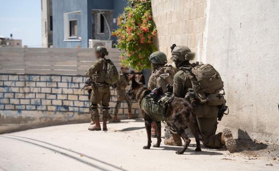 המחבלים התחבאו במסגד, צה"ל לא השאיר להם סיכוי. צפו