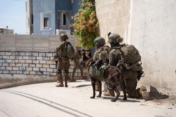 המחבלים התחבאו במסגד, צה"ל לא השאיר להם סיכוי. צפו