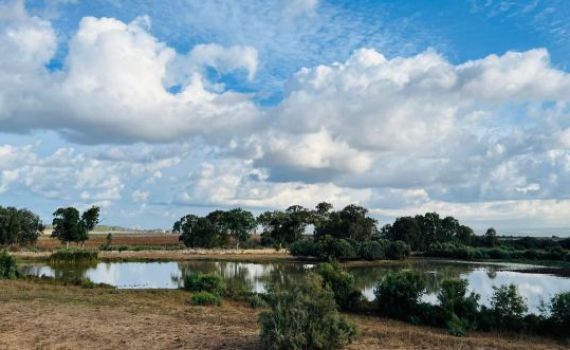 סוף סוף בשורות טובות: תחזית מזג אוויר לסופ"ש