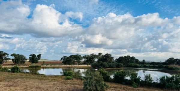 סוף סוף בשורות טובות: תחזית מזג אוויר לסופ"ש