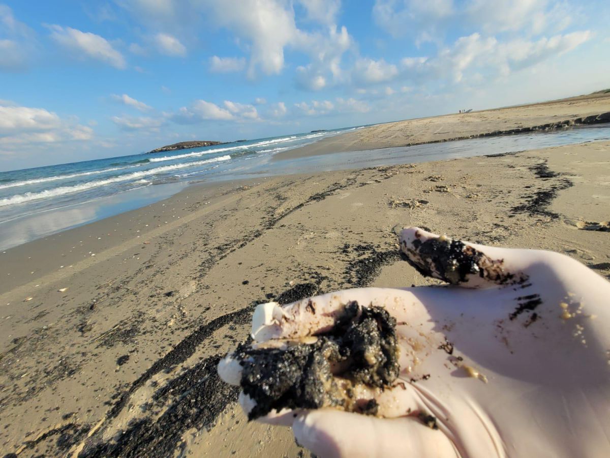 כמויות זפת אותרו במספר שמורות טבע במישור החוף הצפוני