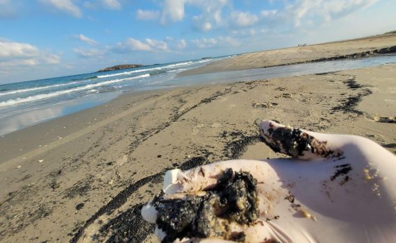 כמויות זפת אותרו במספר שמורות טבע במישור החוף הצפוני