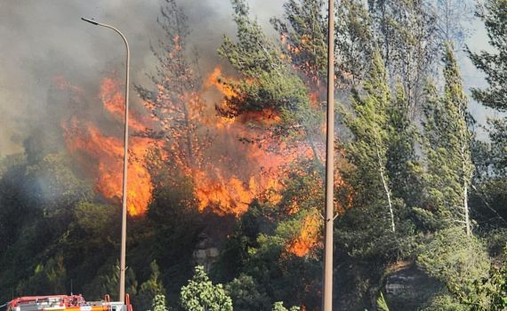 שריפה משתוללת בשער הגיא: שיבושי תנועה נרשמו באזור