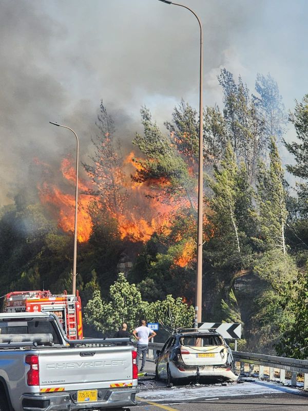 שריפה משתוללת בשער הגיא: שיבושי תנועה נרשמו באזור