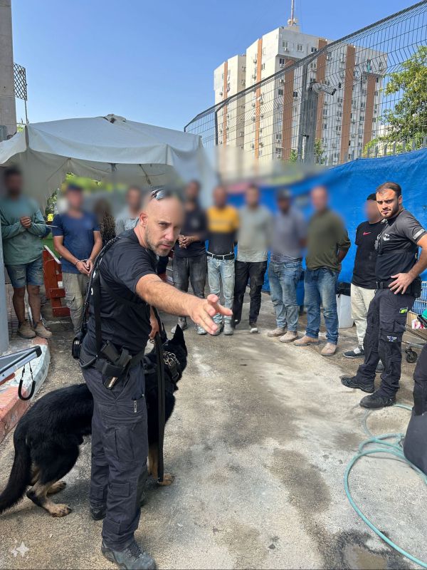 מבצע רחב: 43 שוהים בלתי חוקיים נעצרו בגוש דן