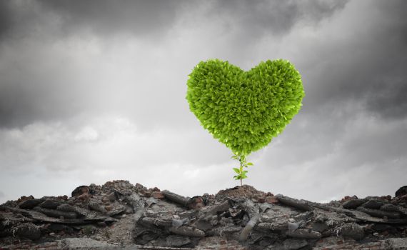 המשבר שלכם בנה לכם בית חזק לדורי דורות