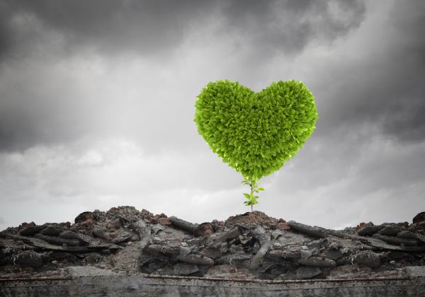 המשבר שלכם בנה לכם בית חזק לדורי דורות