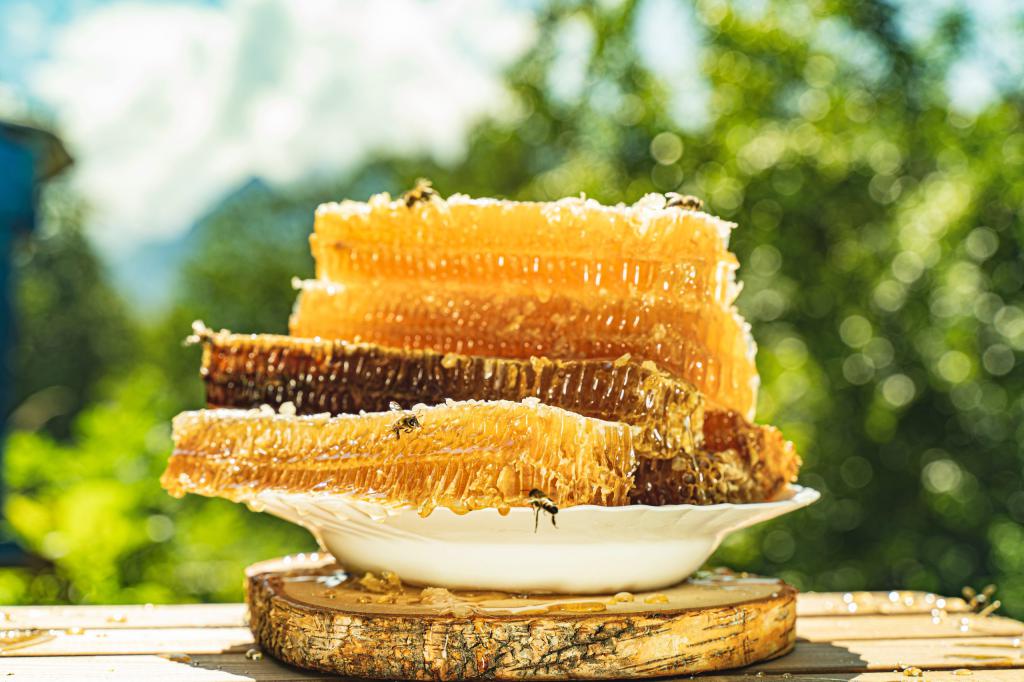 "הנשף של מגדלת הדבורים": היסטוריה, אסקפיזם והרבה דבש