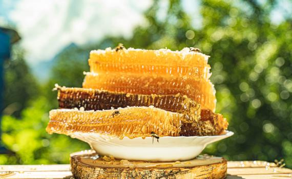 "הנשף של מגדלת הדבורים": היסטוריה, אסקפיזם והרבה דבש