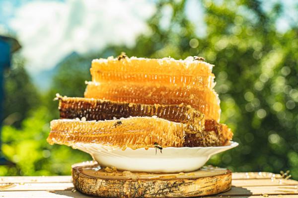 "הנשף של מגדלת הדבורים": היסטוריה, אסקפיזם והרבה דבש