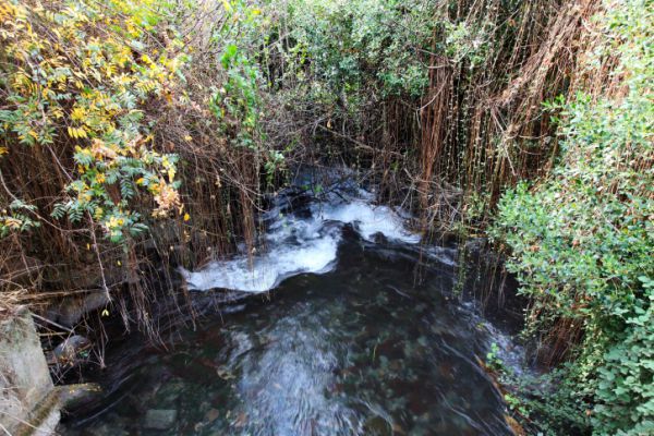הירי לצפון: פצוע קשה מפגיעה ישירה בקיבוץ דן