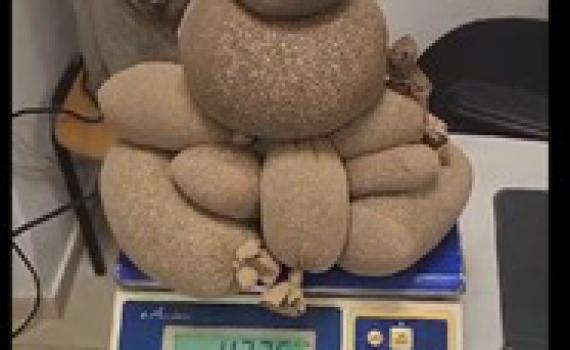 מעצר בנתב"ג: 4.3 קילו קנאביס הוחבאו בגרביונים