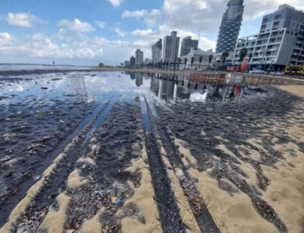 משרד הפנים הודיע: חופי תל אביב מותרים לרחצה