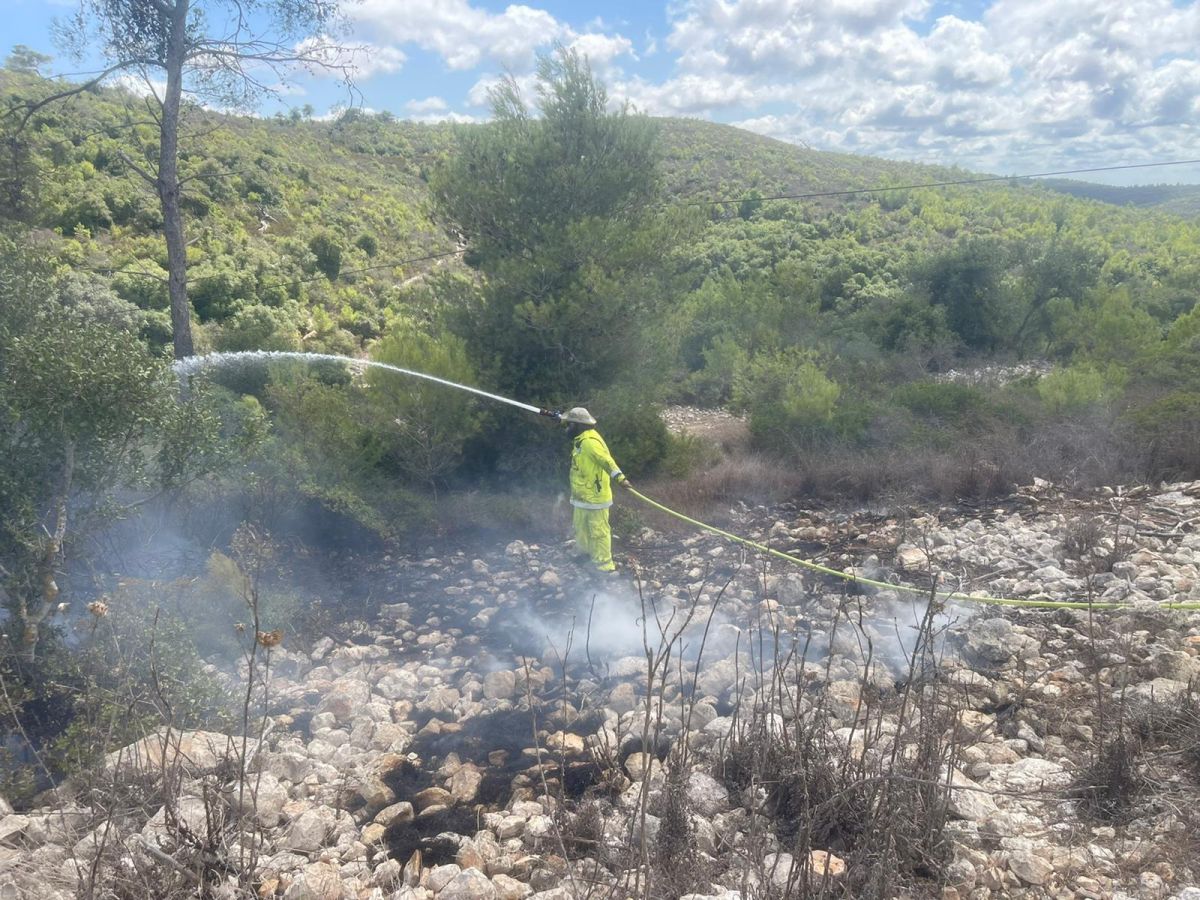 חשד להצתות מכוונות ביערות הכרמל: חשוד אחד נעצר