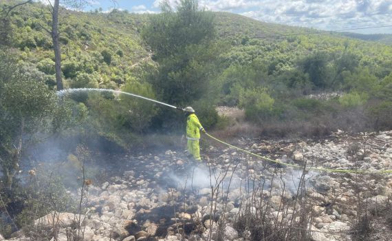 חשד להצתות מכוונות ביערות הכרמל: חשוד אחד נעצר