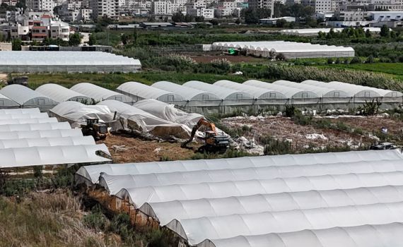 נהרסו חממות פלסטיניות שנבנו ליד בת חפר