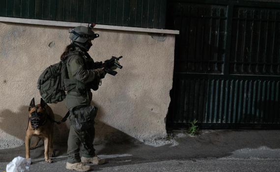 המאבק בטרור ביו"ש: 8 מבוקשים נעצרו, 100 אלף ש"ח הוחרמו