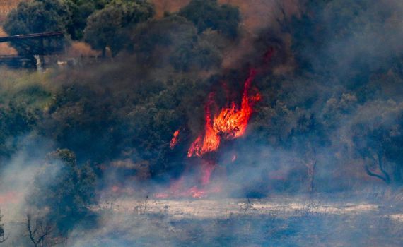 דיווח בלבנון: הרוג ו-11 פצועים בתקיפת כטב"ם בדרום המדינה