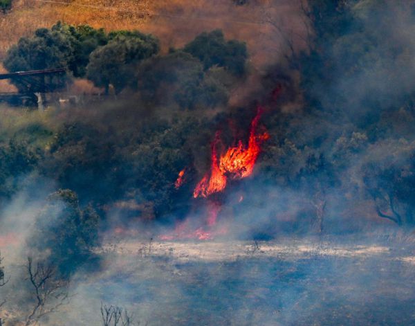 דיווח בלבנון: הרוג ו-11 פצועים בתקיפת כטב"ם בדרום המדינה