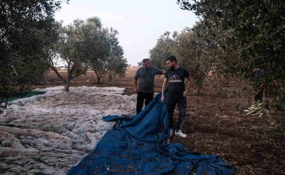 ההרוגים מפגיעת הרקטות בקריות: מינא וכרמי חסון משפרעם