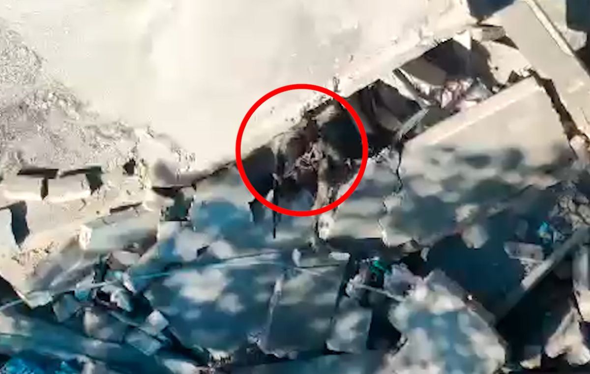 צפו: כך חוסלו המחבלים שהרגו את בן ציון פלח ז"ל