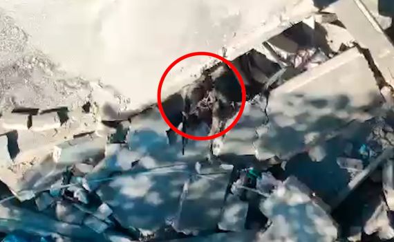 צפו: כך חוסלו המחבלים שהרגו את בן ציון פלח ז"ל