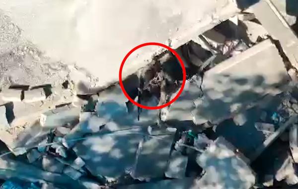 צפו: כך חוסלו המחבלים שהרגו את בן ציון פלח ז"ל