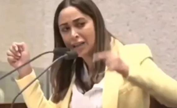 צעקות במליאה: "אני אמשיך מתי שאני רוצה, חצוף"