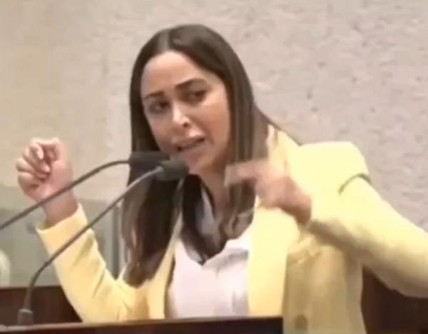 צעקות במליאה: "אני אמשיך מתי שאני רוצה, חצוף"