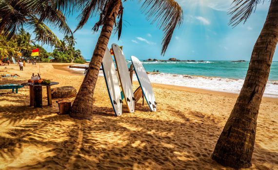 לצאת במיידי: המל"ל באזהרה לישראלים השוהים בסרי לנקה