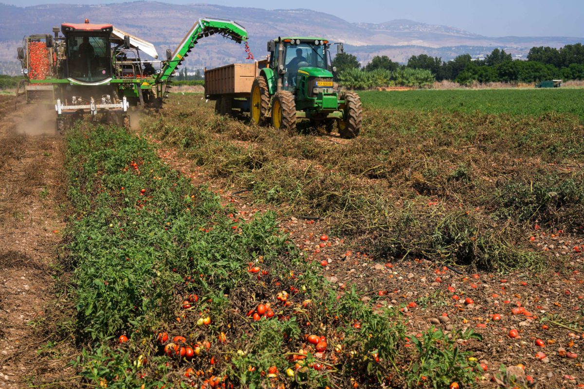 צו בצורת נחתם: פיצויים לחקלאי בעל שנפגעו מהיובש