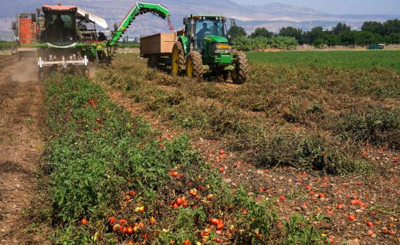 צו בצורת נחתם: פיצויים לחקלאי בעל שנפגעו מהיובש