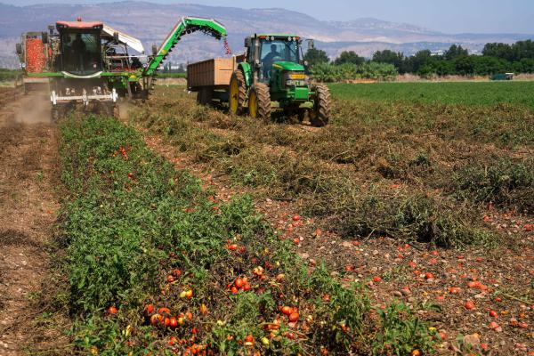 צו בצורת נחתם: פיצויים לחקלאי בעל שנפגעו מהיובש