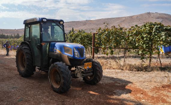30 רקטות נורו לגליל התחתון: 9 פצועים מפגיעה במטע זיתים