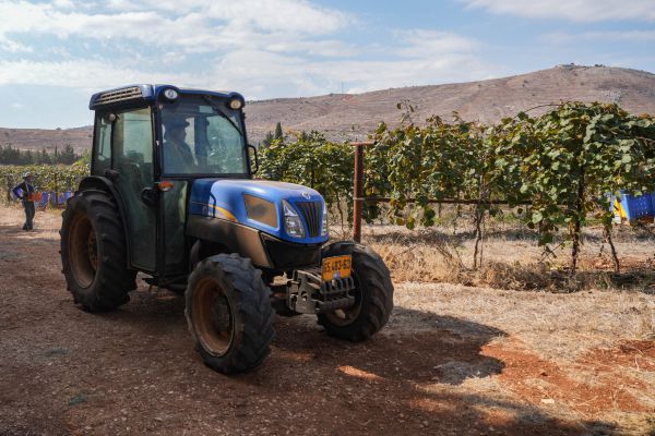 30 רקטות נורו לגליל התחתון: 9 פצועים מפגיעה במטע זיתים