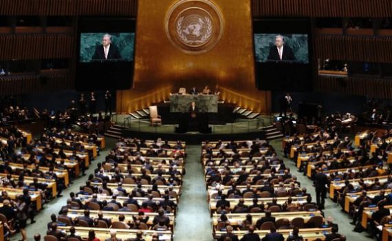 המומחית לא קבעה שישראל ביצעה רצח-עם  ותפוטר